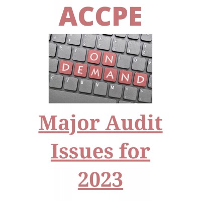 Major Audit Issues for 2023