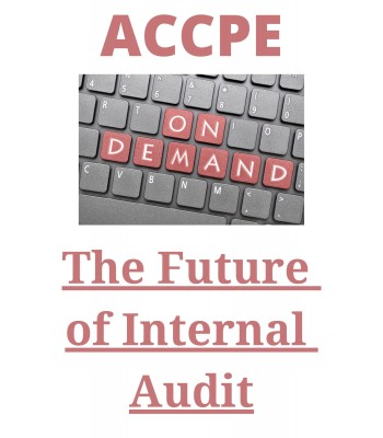 The Future of Internal Audit 2023